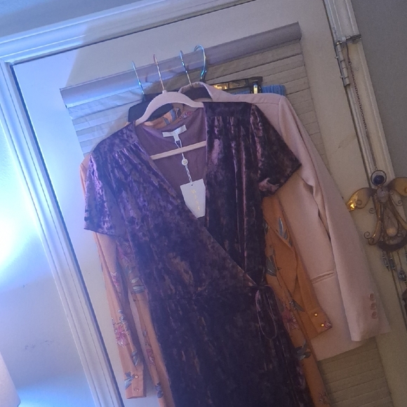 Wayf Crushed Velvet Dress - Picture 1 of 15